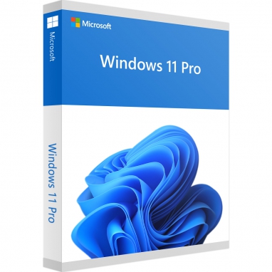 Microsoft Windows 11 Pro 64 Bit