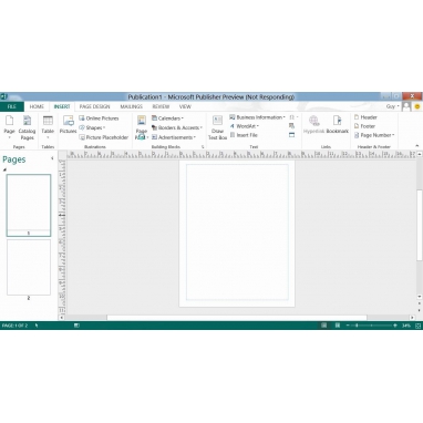 Microsoft Office 2013 Standard