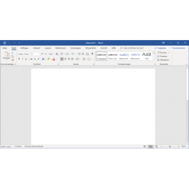 Microsoft Word 2019